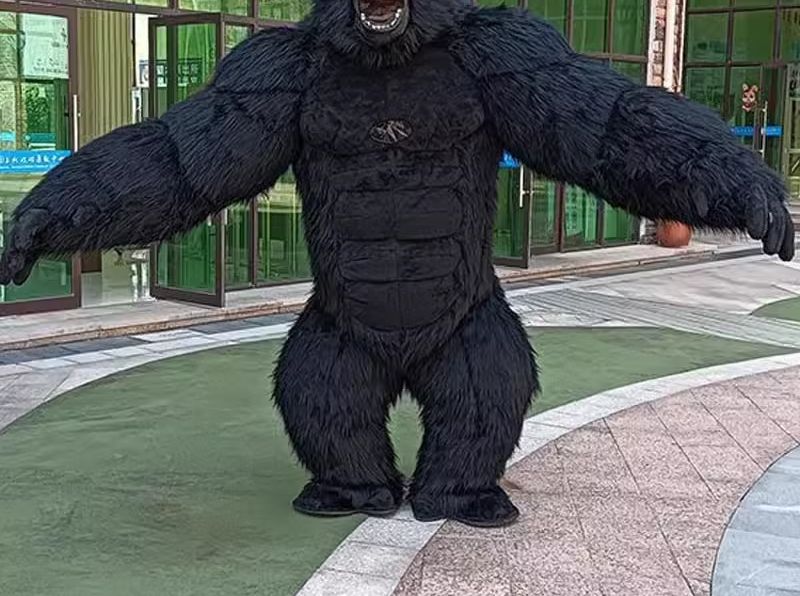 실제 생활 팽창식 고릴라 코스튬 풀 마스코트 세트, 거 - Anime Cosplay Real Life 리뷰 및 가격